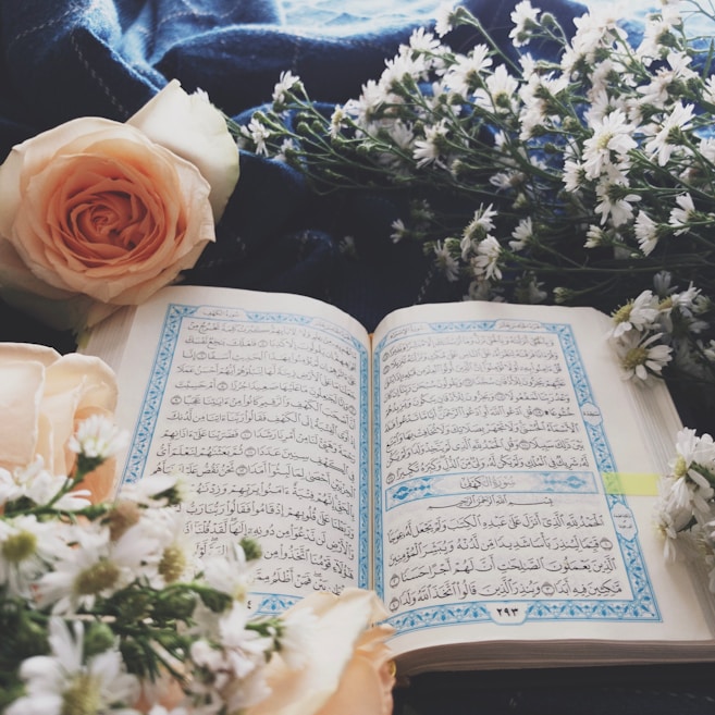 حلقات القرآن